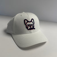 Load image into Gallery viewer, CIGAR DOG TWILL SNAP BACK